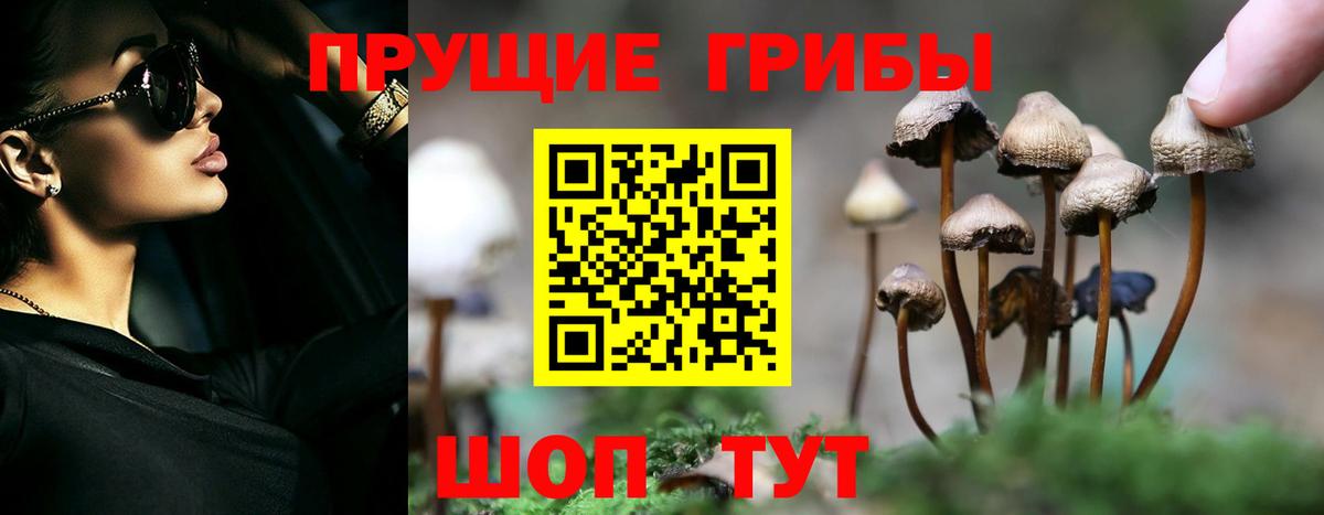 Галлюциногенные грибы Magic Shrooms  Вход с VPN  купить наркоту  Киржач 